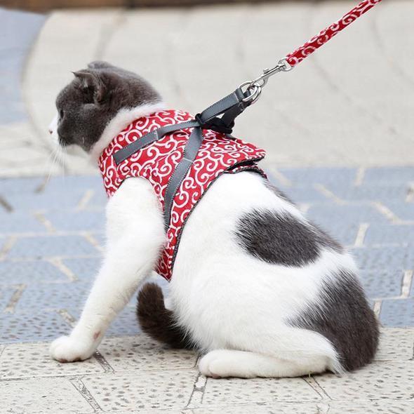 Katzenwesten-Geschirr und Leine-Set für Spaziergänge