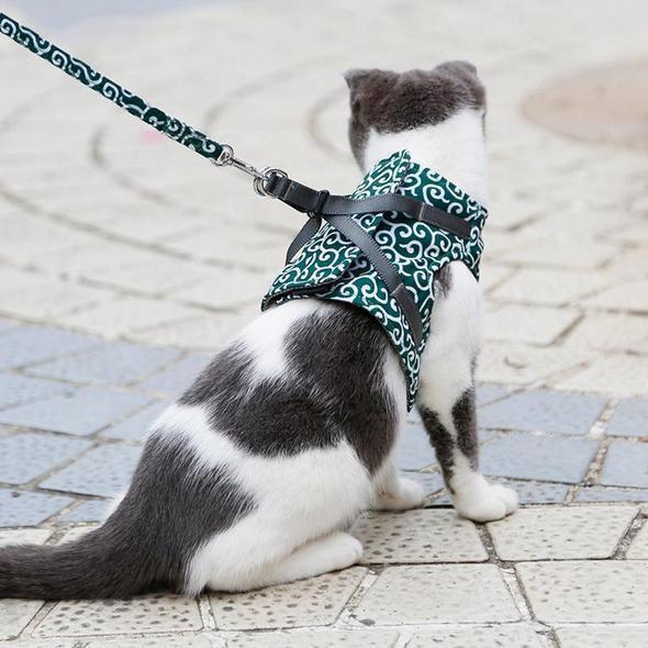 Katzenwesten-Geschirr und Leine-Set für Spaziergänge